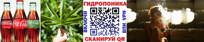 как найти закладки  Губаха  Canna-Cookies марихуана 